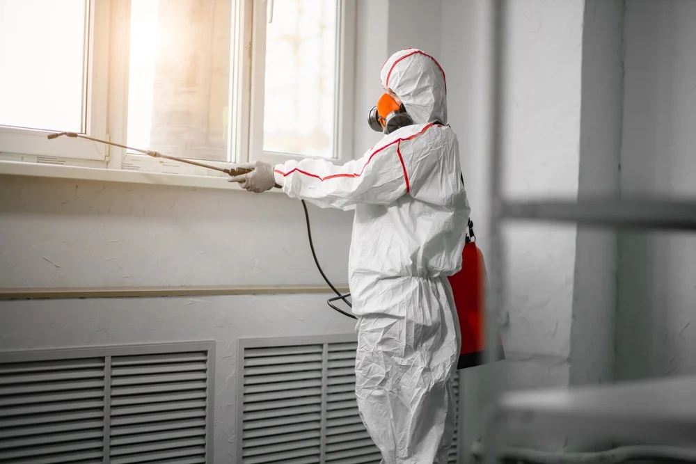 Professional mold remediation services in Alma, MI